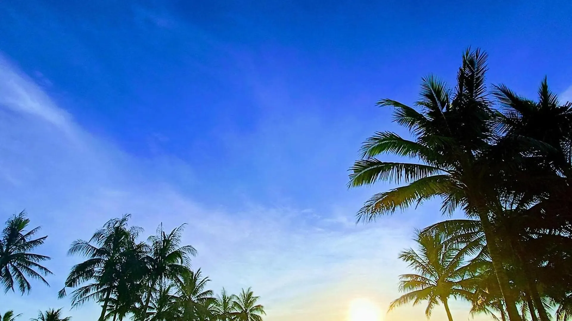 Villa 7 Bedrooms Beachfront Luxury Da Nang